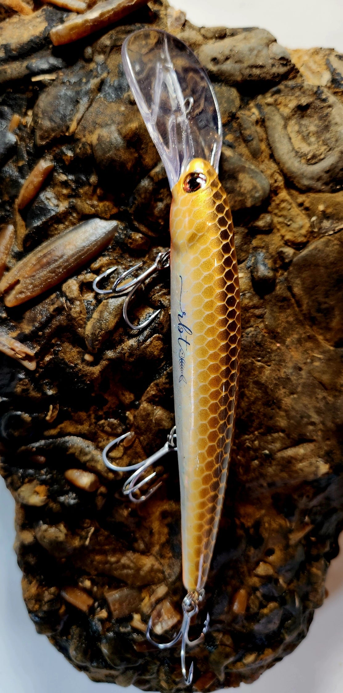 Poddy Collection - Deep Diver 6m+ RBT Customs