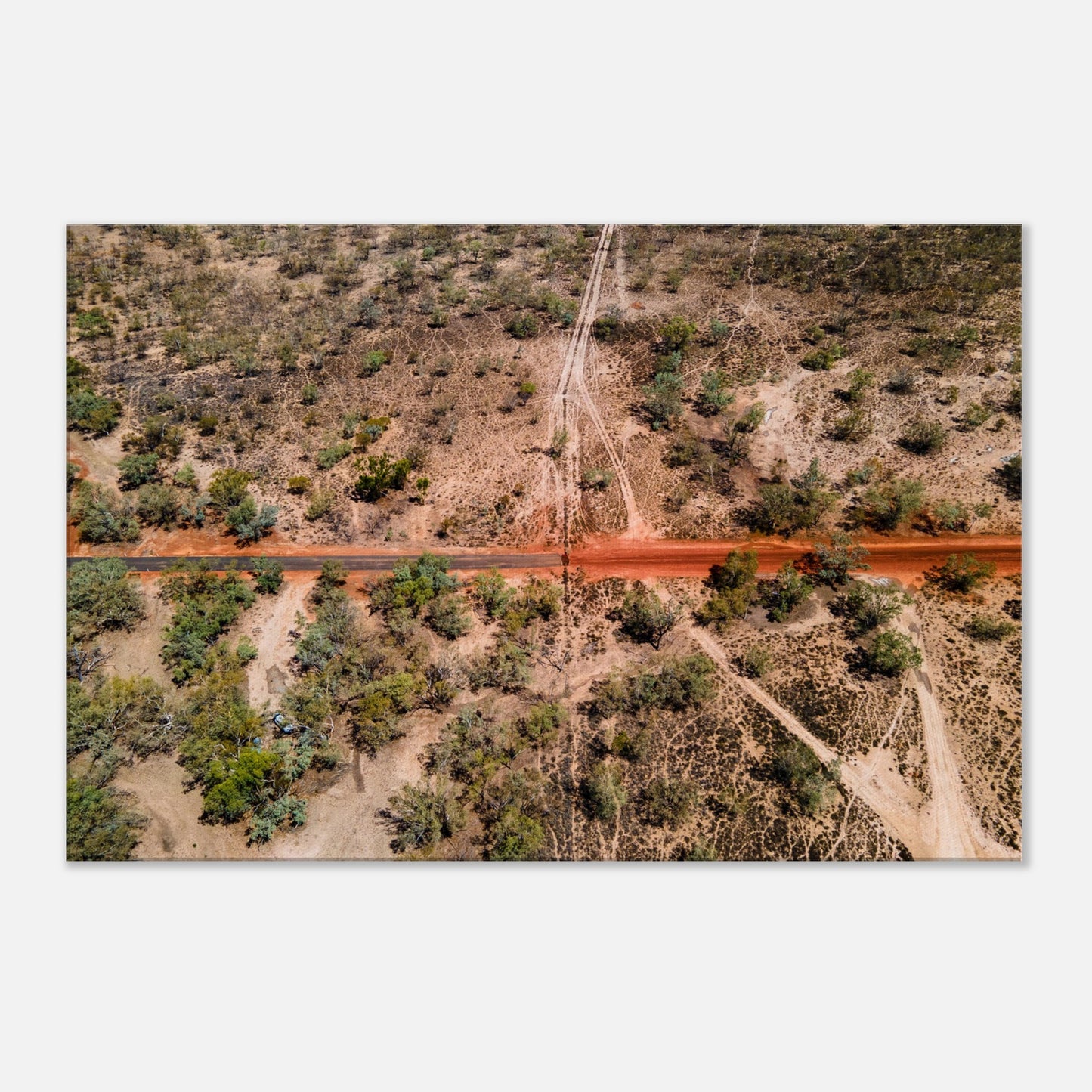 1c33e824-a2ea-49b9-bb07-a9c87dc51503