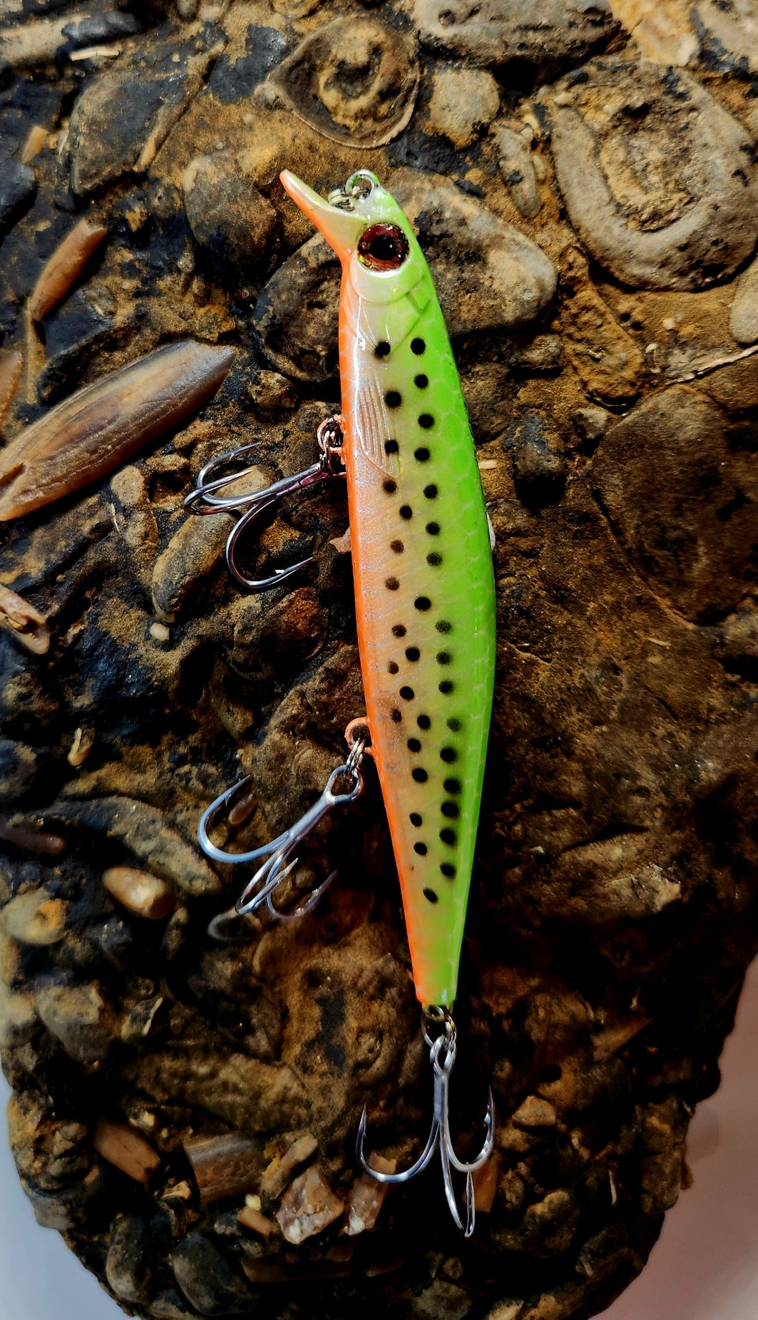 Poddy Collection - Shallow Diver 1m RBT Customs