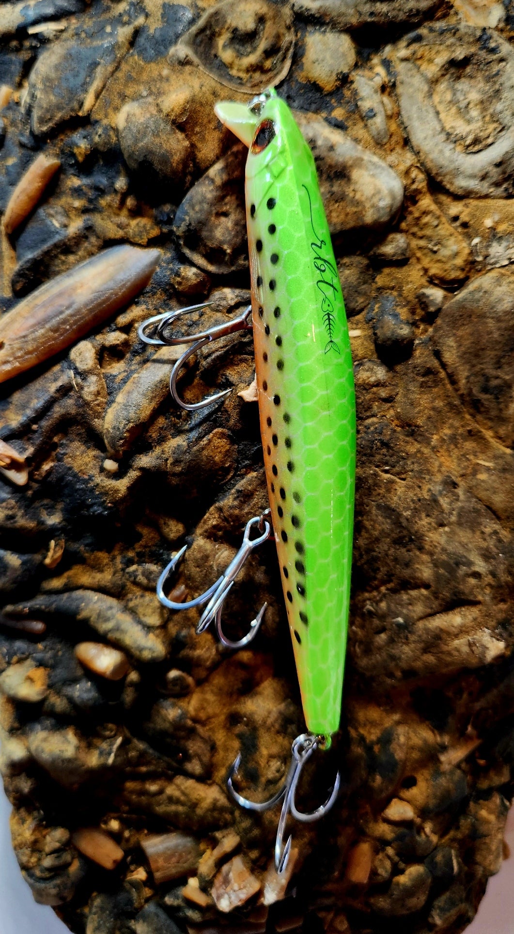 Poddy Collection - Shallow Diver 1m RBT Customs