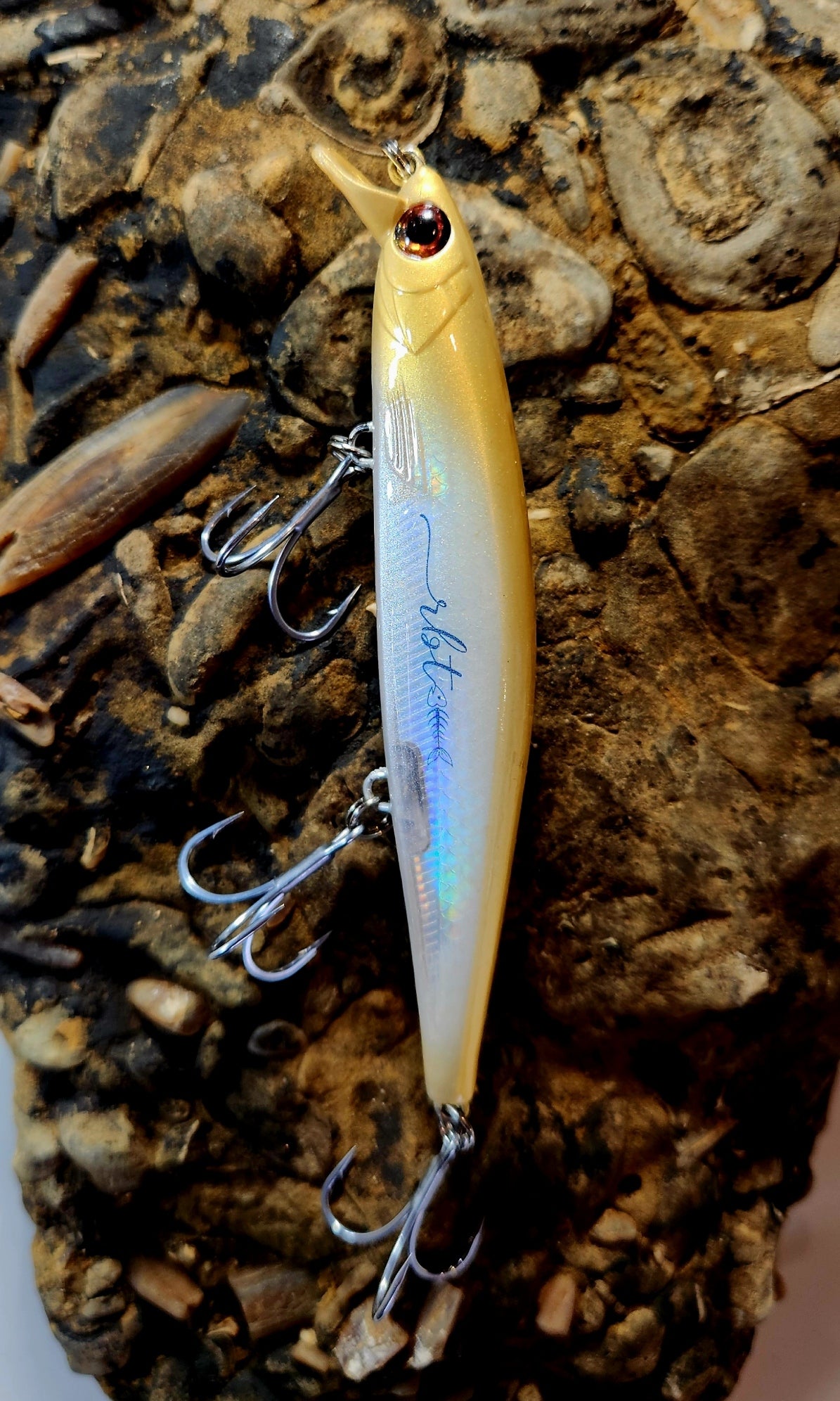 Poddy Collection - Shallow Diver 1m RBT Customs