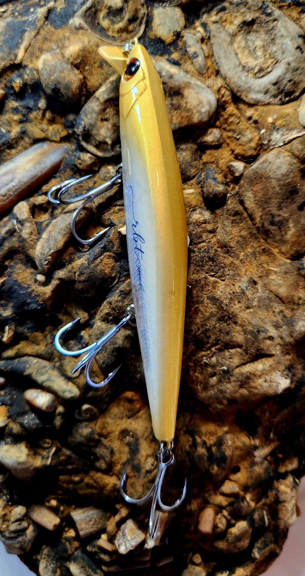 Poddy Collection - Shallow Diver 1m RBT Customs