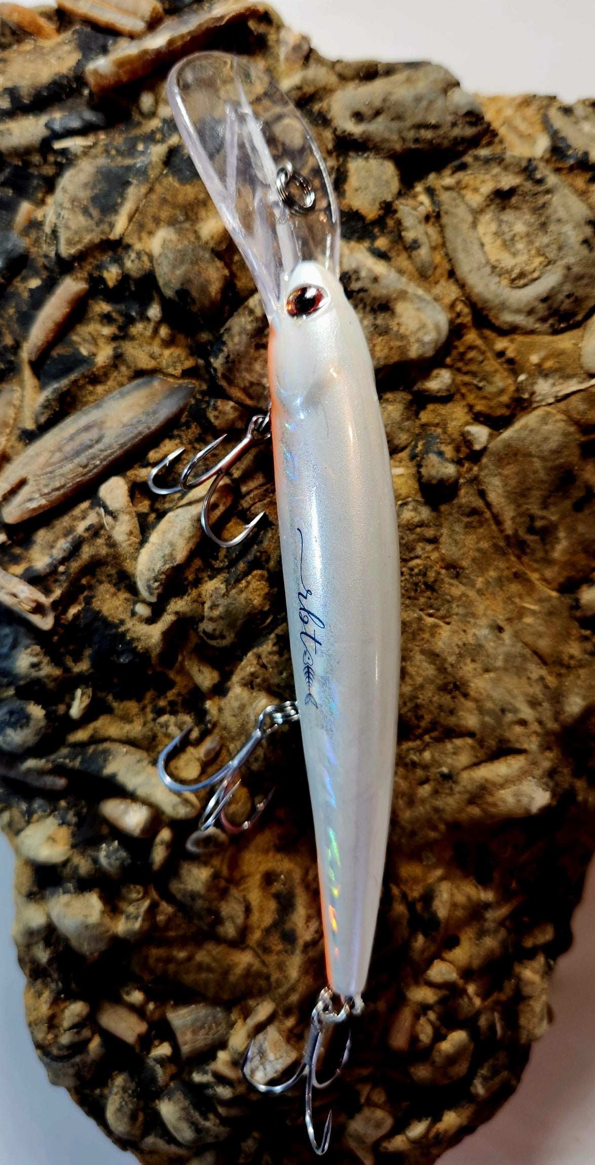 Poddy Collection - Deep Diver 6m+ RBT Customs