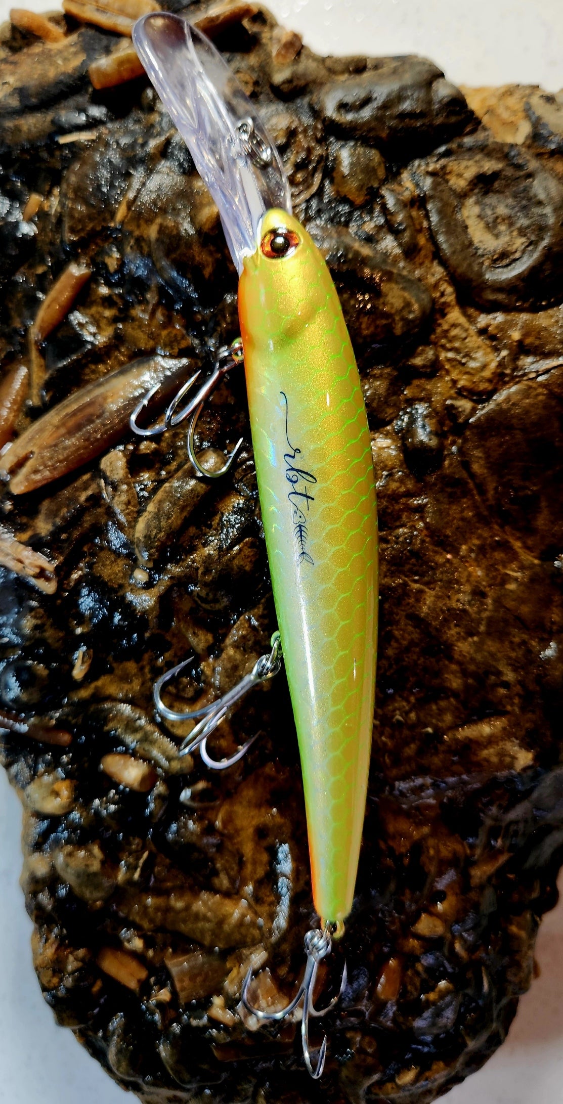 Poddy Collection - Deep Diver 6m+ RBT Customs