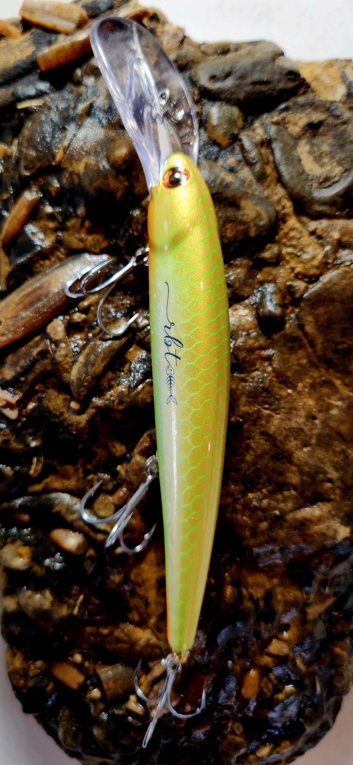 Poddy Collection - Deep Diver 6m+ RBT Customs