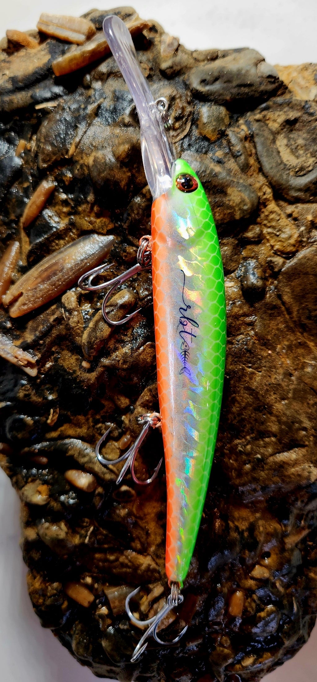 Poddy Collection - Deep Diver 6m+ RBT Customs