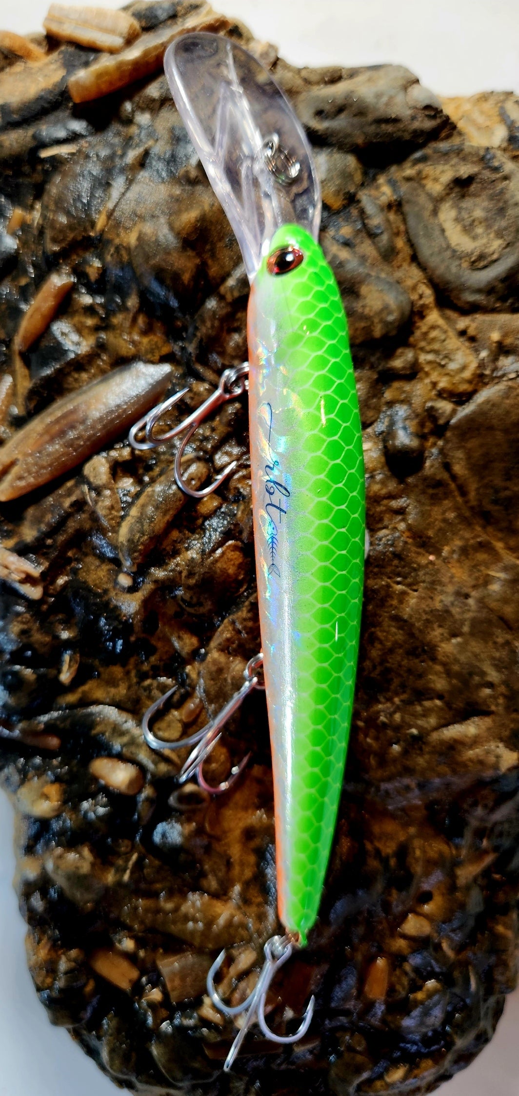 Poddy Collection - Deep Diver 6m+ RBT Customs