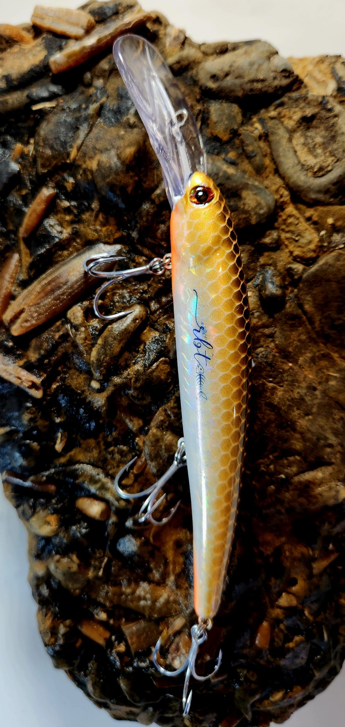 Poddy Collection - Deep Diver 6m+ RBT Customs