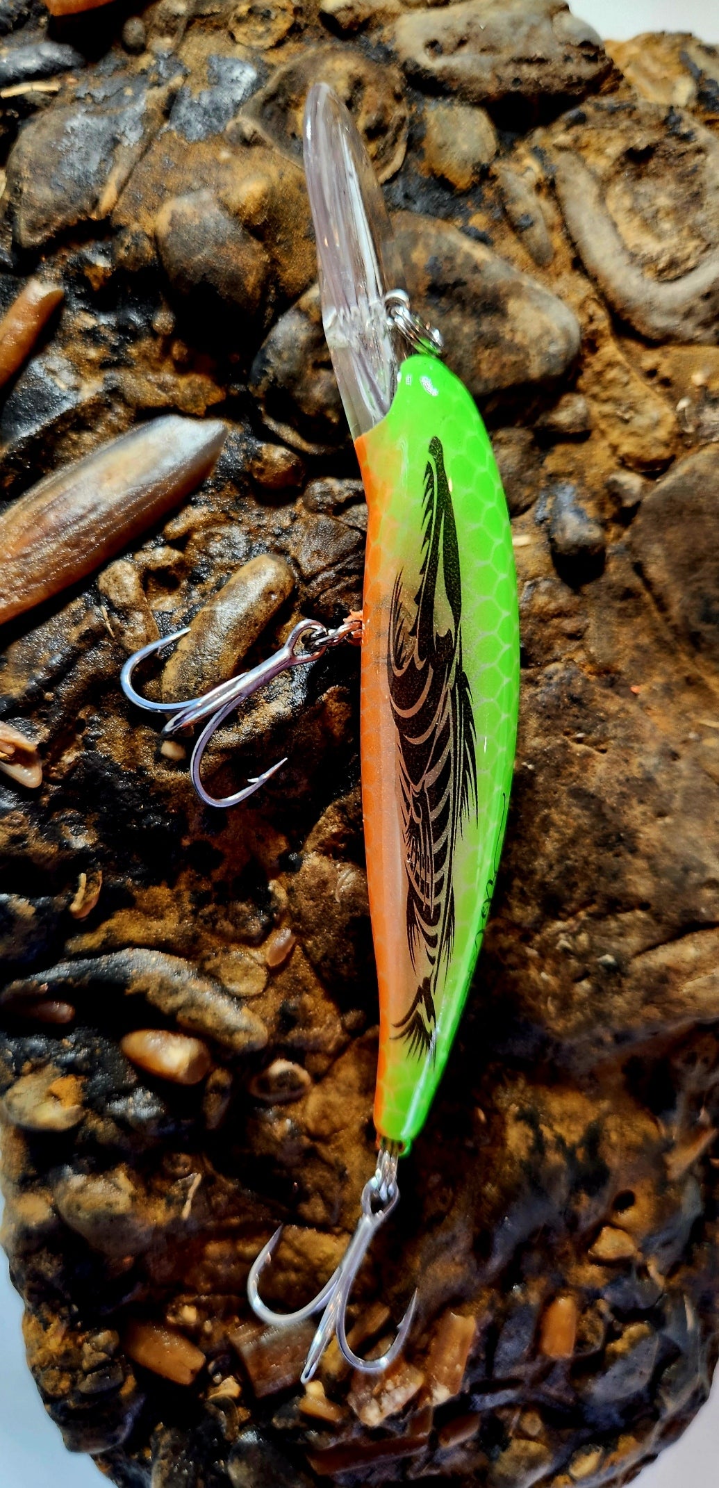 Poddy Collection - Mid Diver 2m - 3m RBT Customs