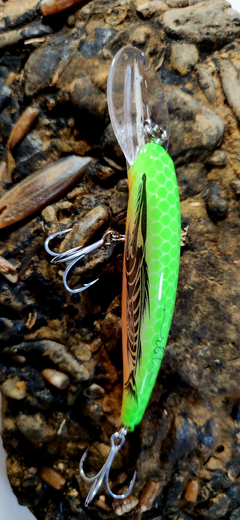 Poddy Collection - Mid Diver 2m - 3m RBT Customs