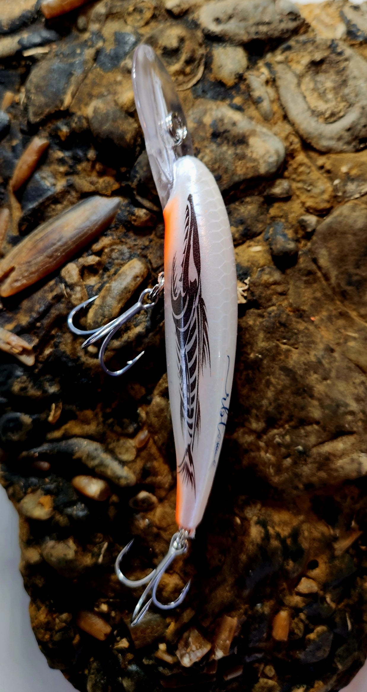 Poddy Collection - Mid Diver 2m - 3m RBT Customs