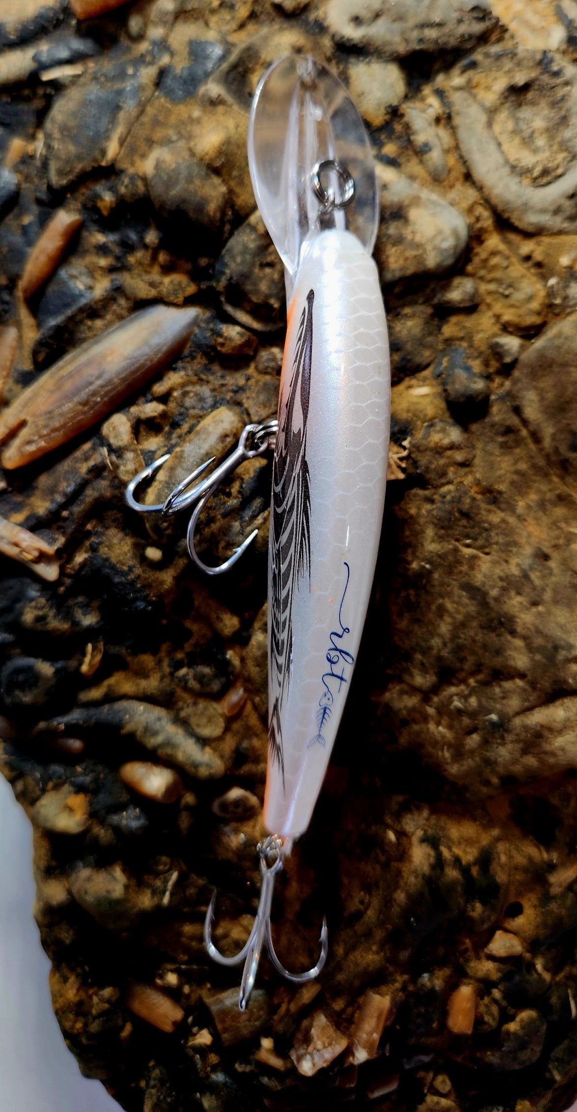 Poddy Collection - Mid Diver 2m - 3m RBT Customs