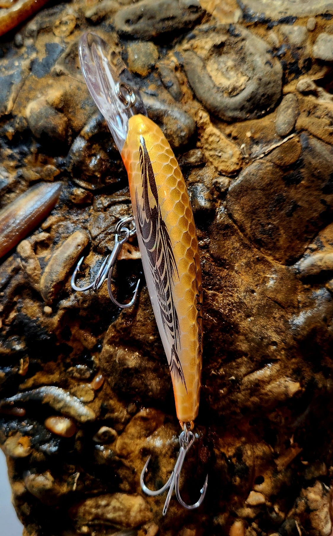 Poddy Collection - Mid Diver 2m - 3m RBT Customs