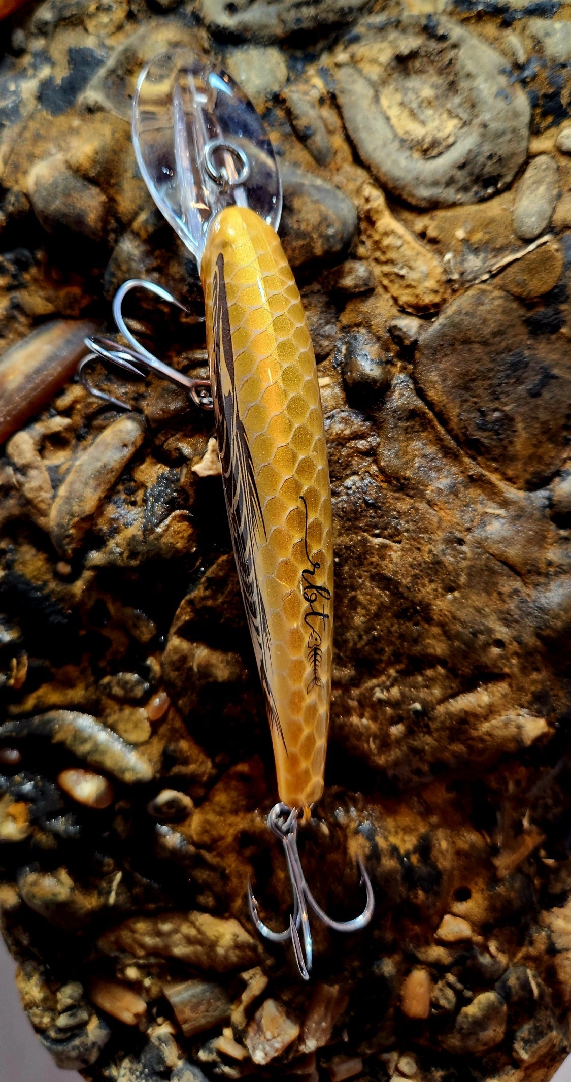 Poddy Collection - Mid Diver 2m - 3m RBT Customs