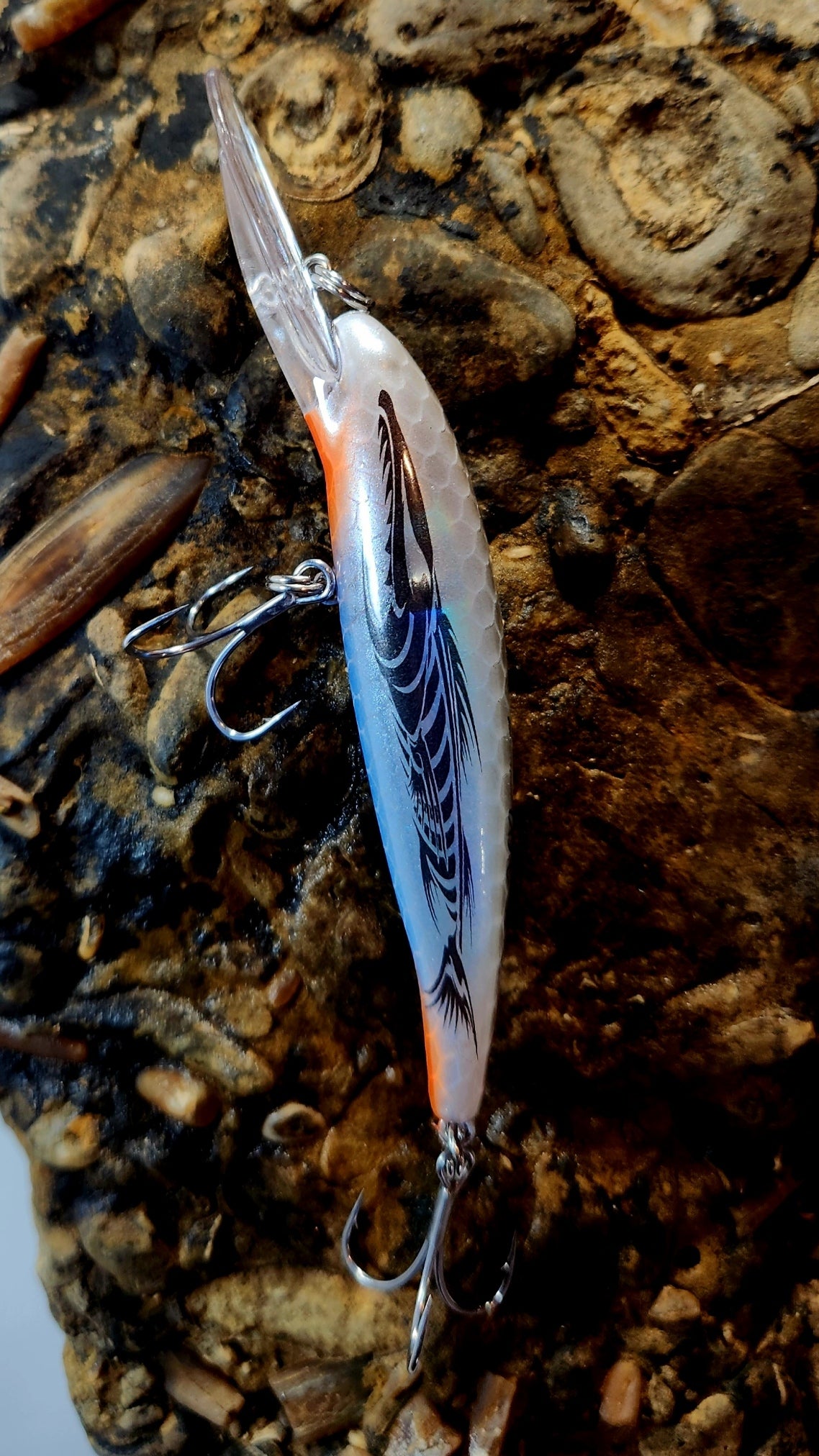 Poddy Collection - Mid Diver 2m - 3m RBT Customs