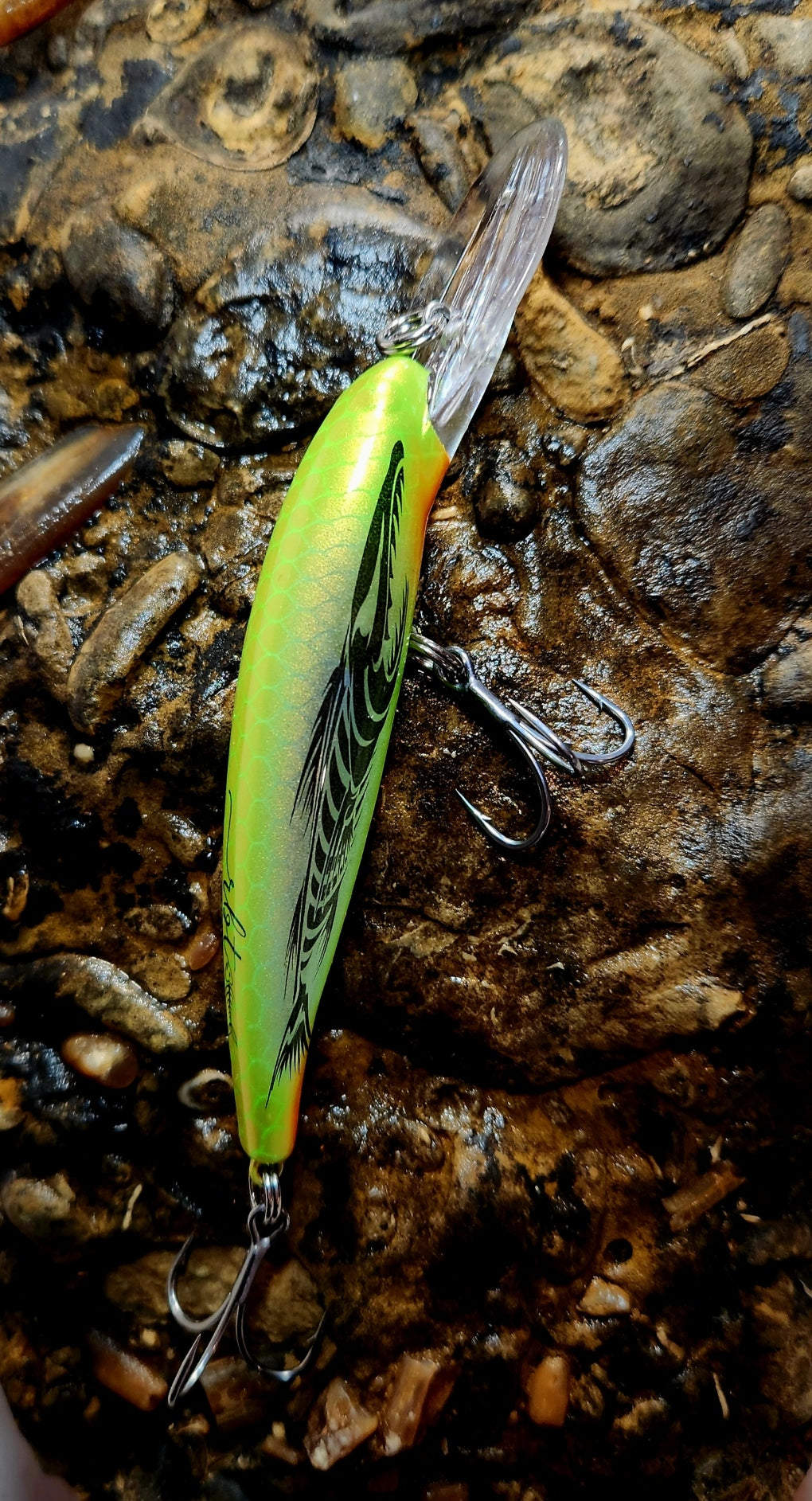 Poddy Collection - Mid Diver 2m - 3m RBT Customs