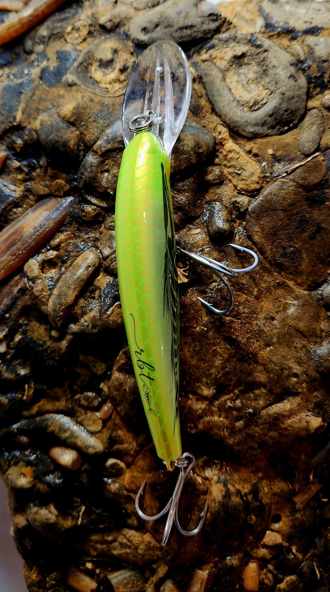 Poddy Collection - Mid Diver 2m - 3m RBT Customs