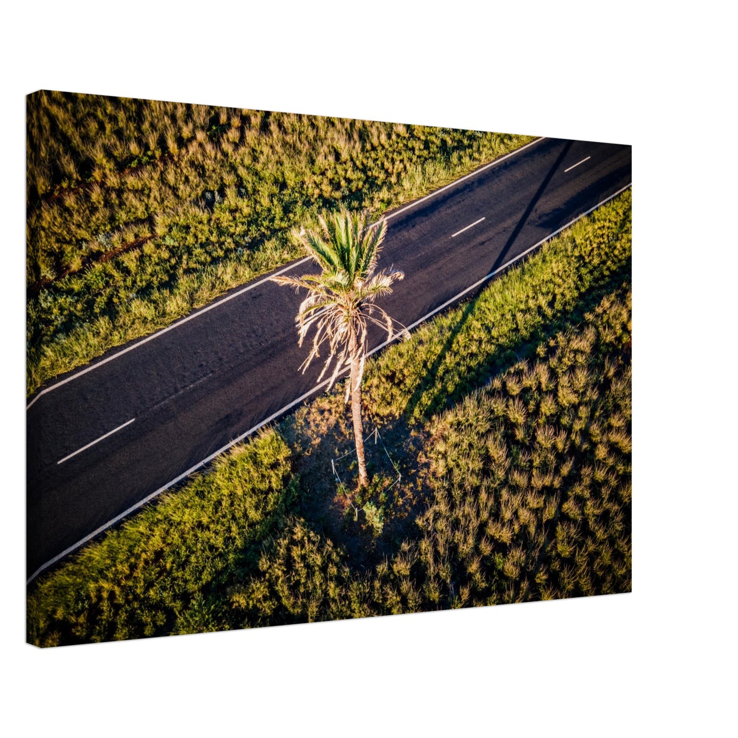 20b759e1-4e0c-4a66-ac3b-76ff262ab928