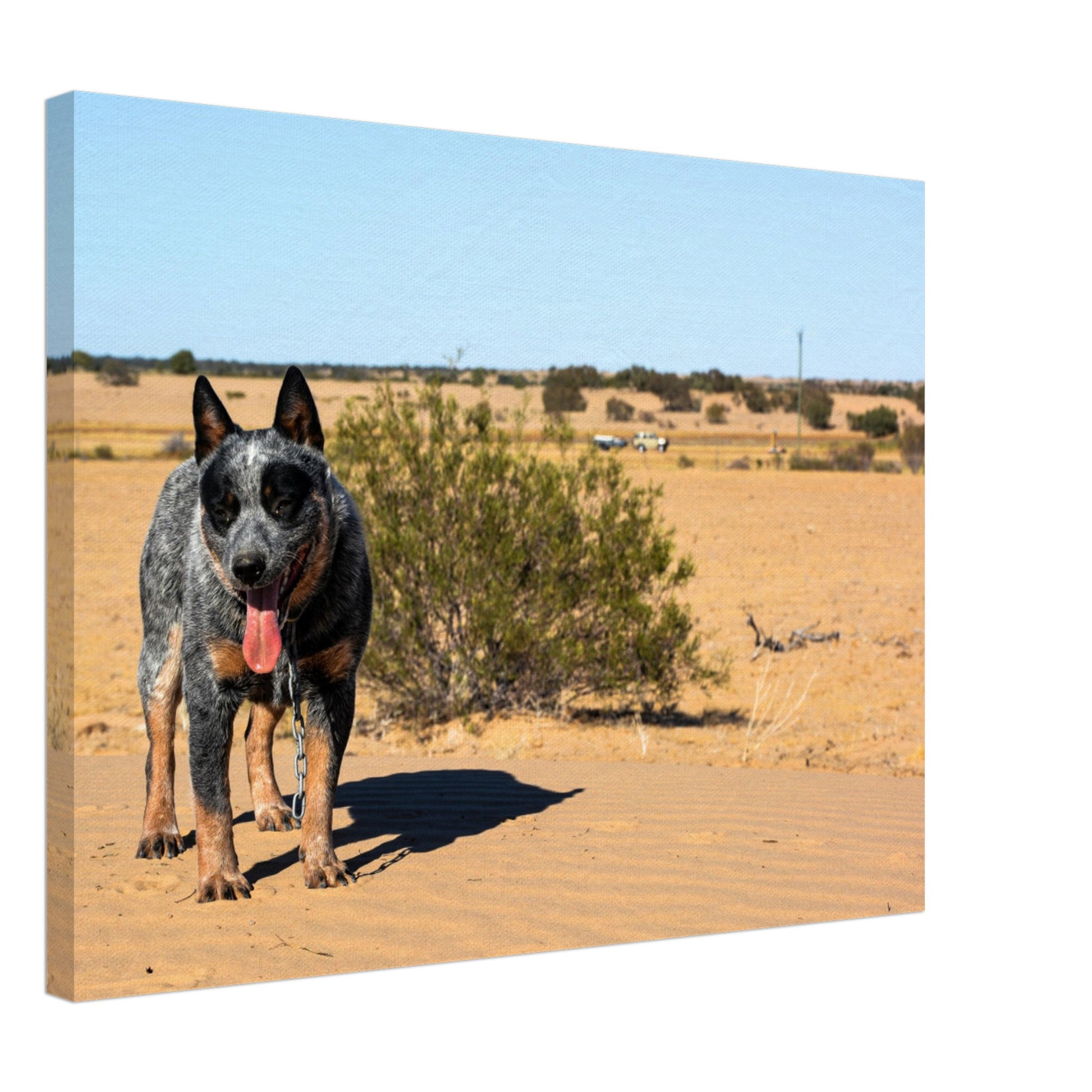 27954eb7-fdac-4d0a-8473-65ace0efd5c9