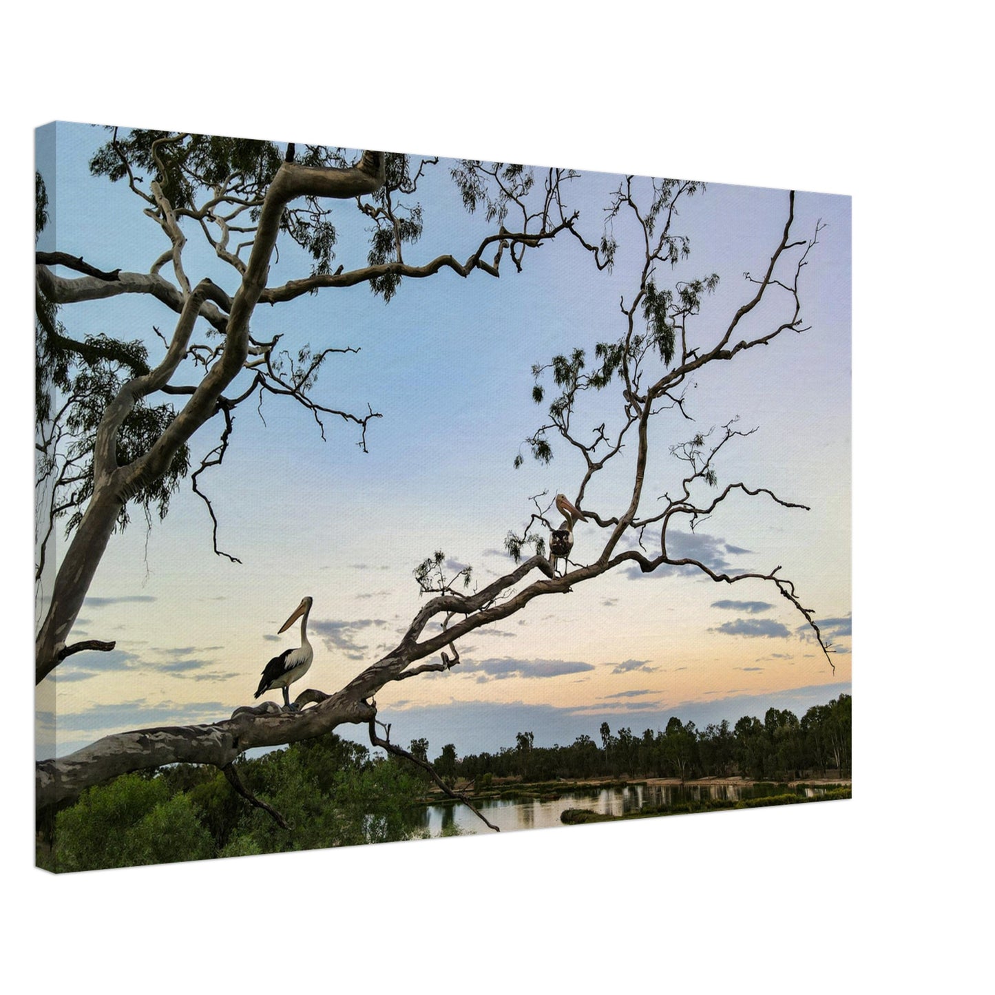 28196e00-ba1a-434e-87e8-c4c4d97d1a30