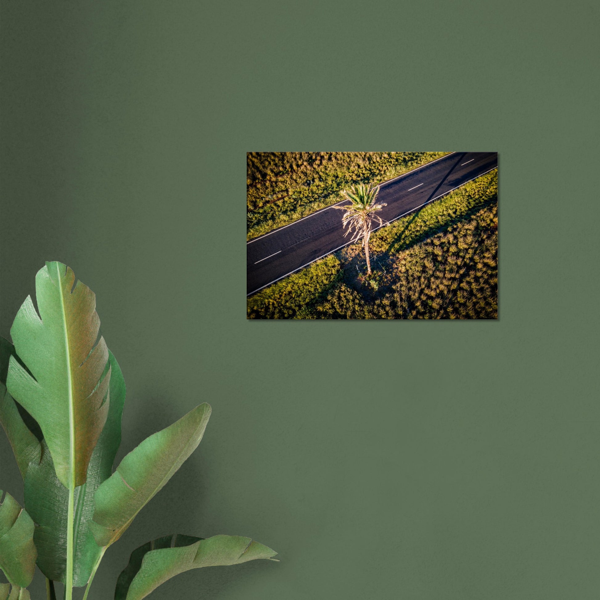 4cf47e80-ac7c-4122-86ff-9f6603d89aec