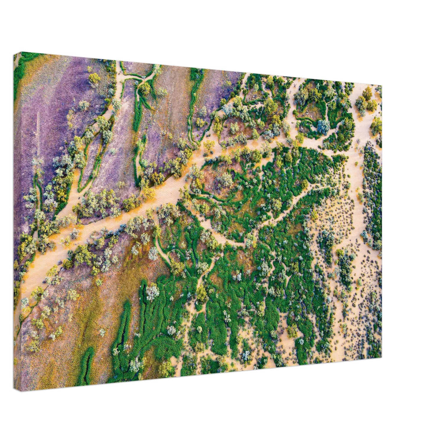 52efeb7d-407a-4aaf-92f6-0c3057ede185