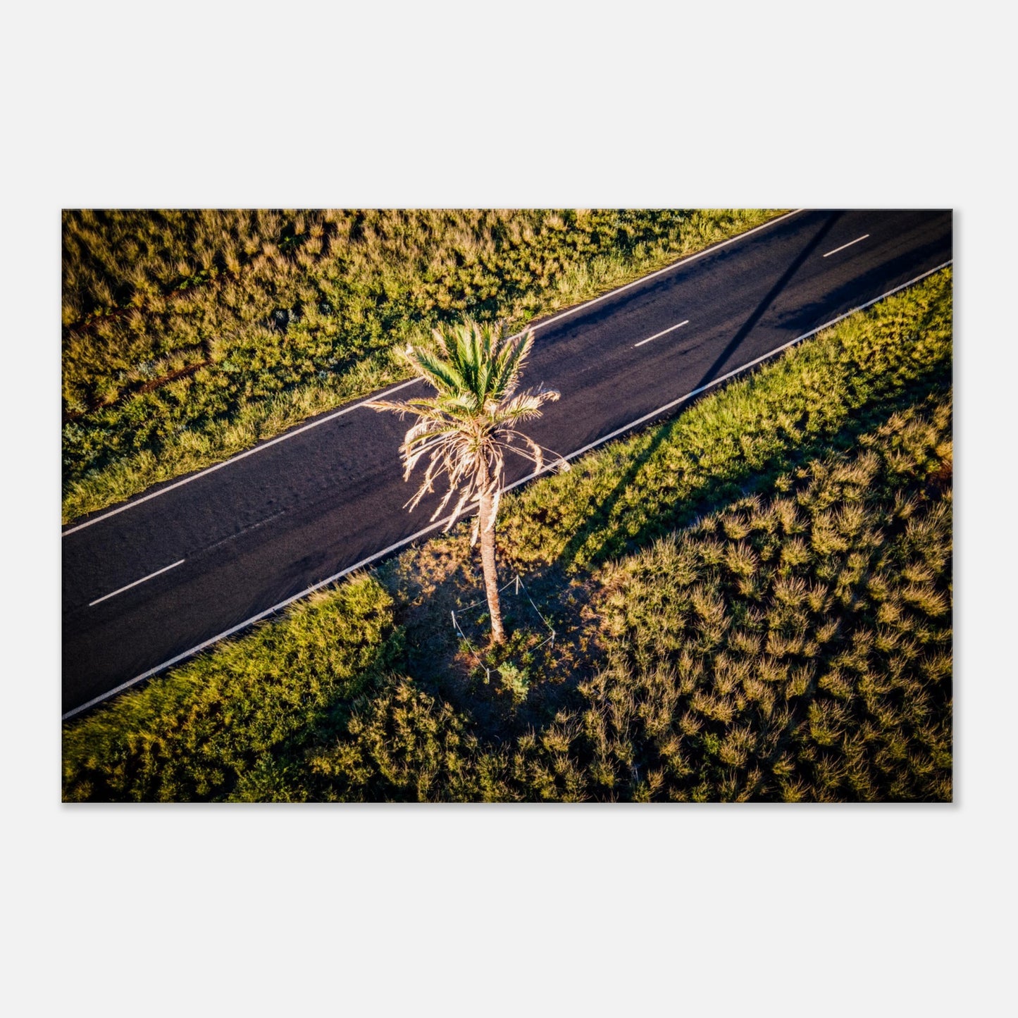 5ea3eddd-c166-499e-89d1-cfe524d098ae