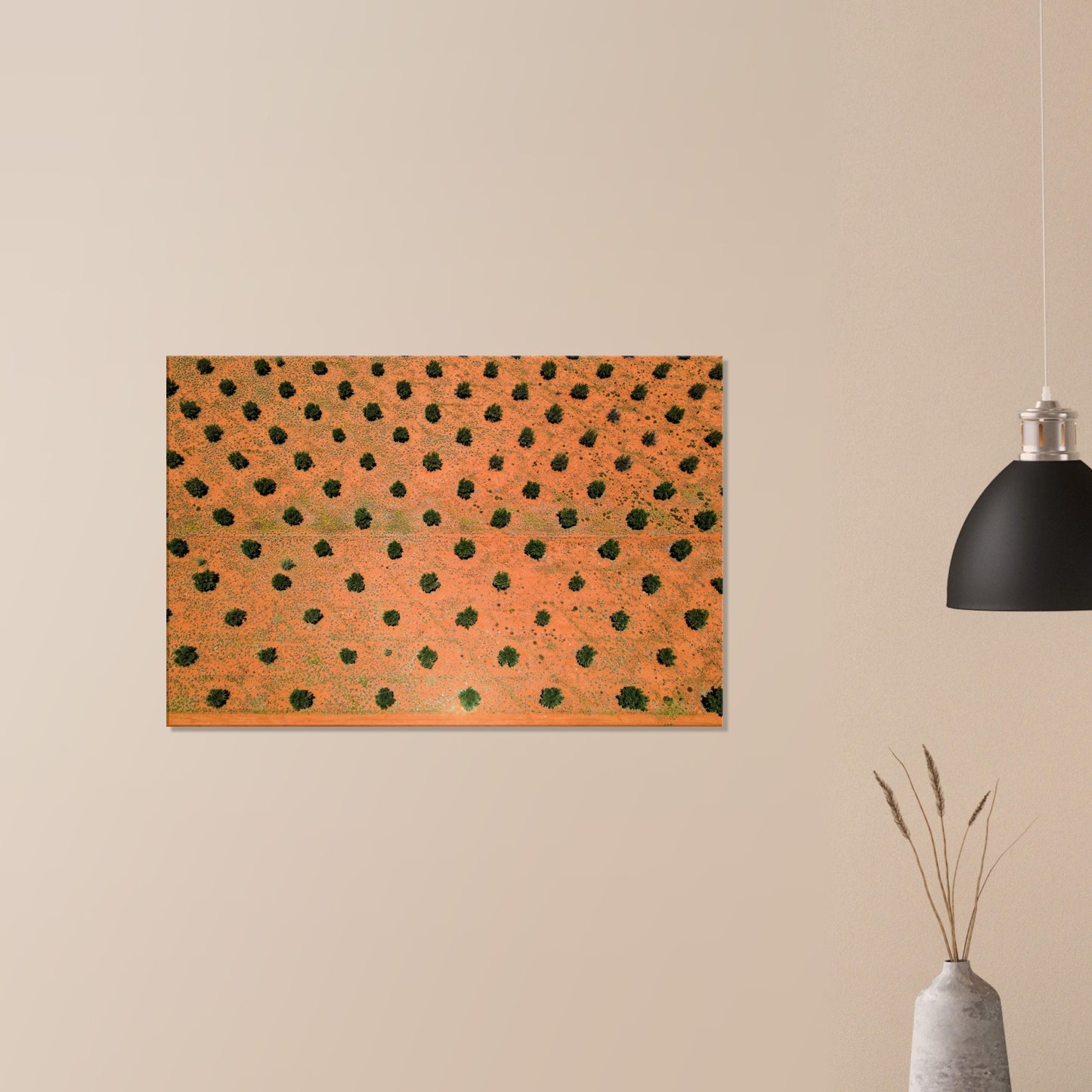 93c8c123-906b-4442-bb4e-57c80723b3c0