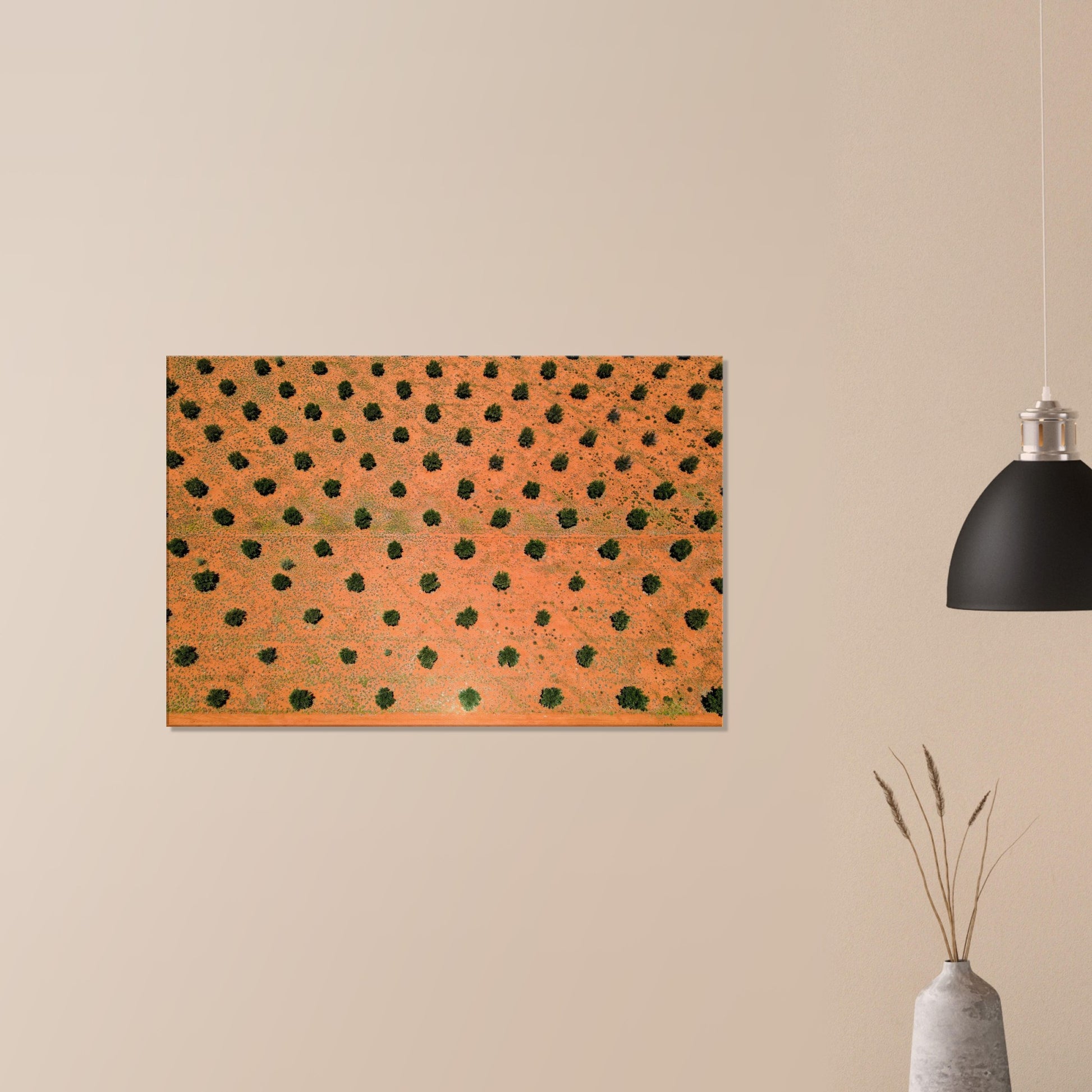 93c8c123-906b-4442-bb4e-57c80723b3c0