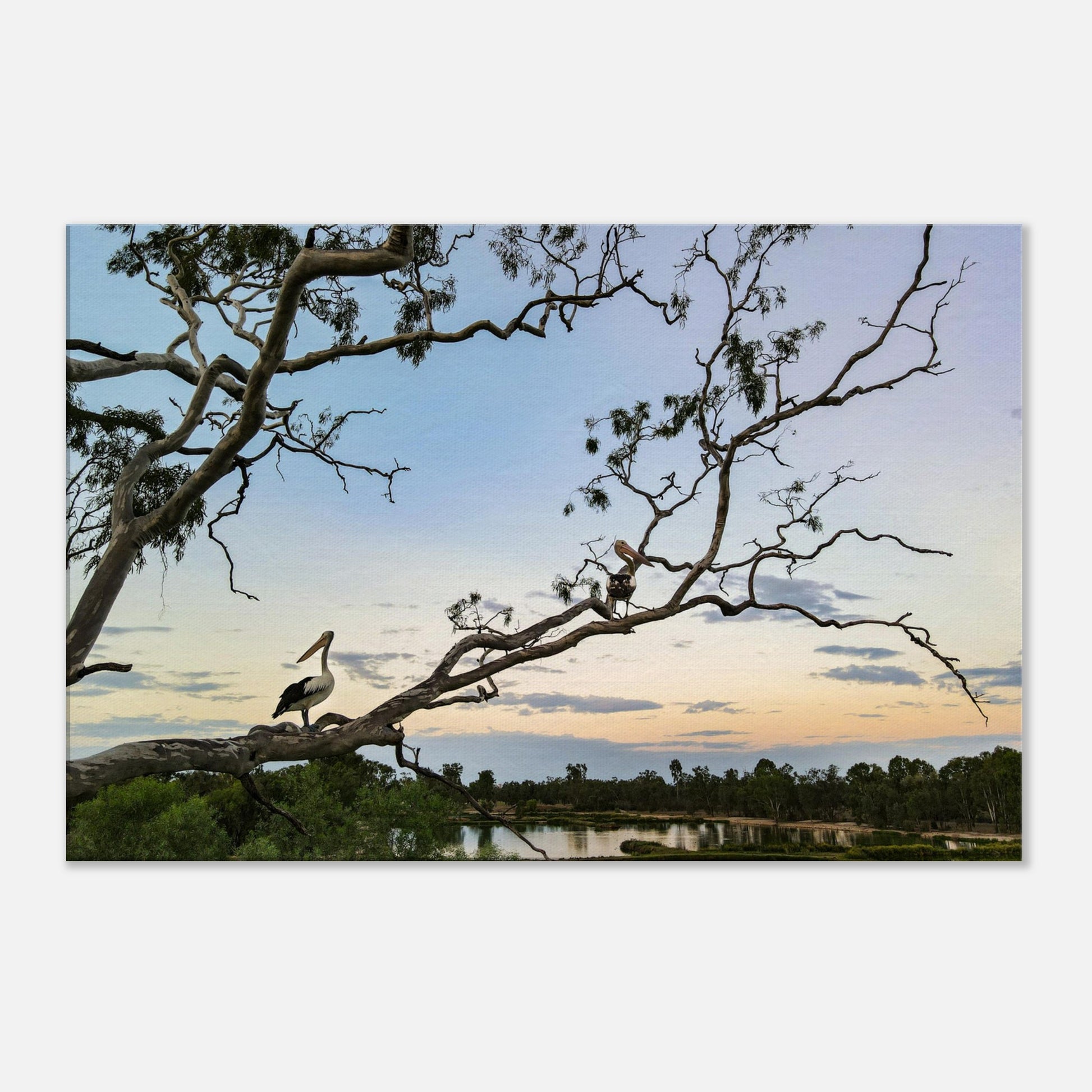 94694831-ff4f-48f8-8e70-20fbcf6530b6