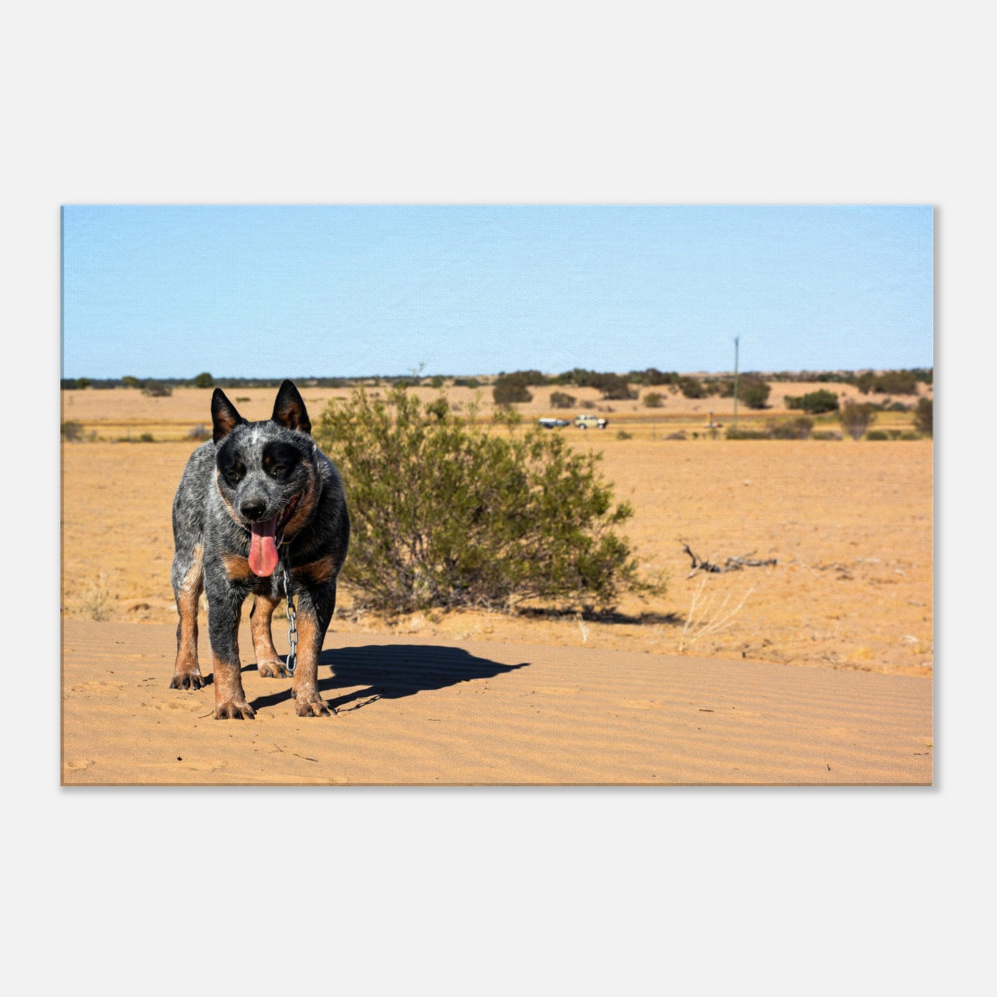 952a2c23-6dd4-4684-9ccb-3a66ac3ea309