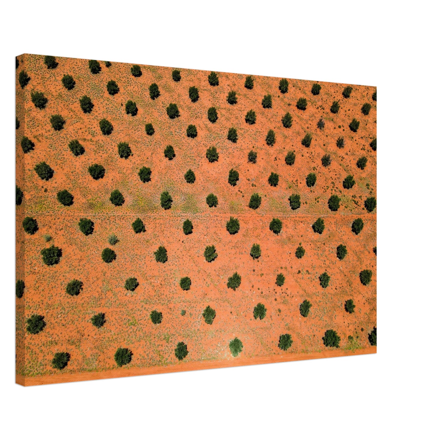 c2128a10-b5b0-413e-8681-f305cb04c8a8