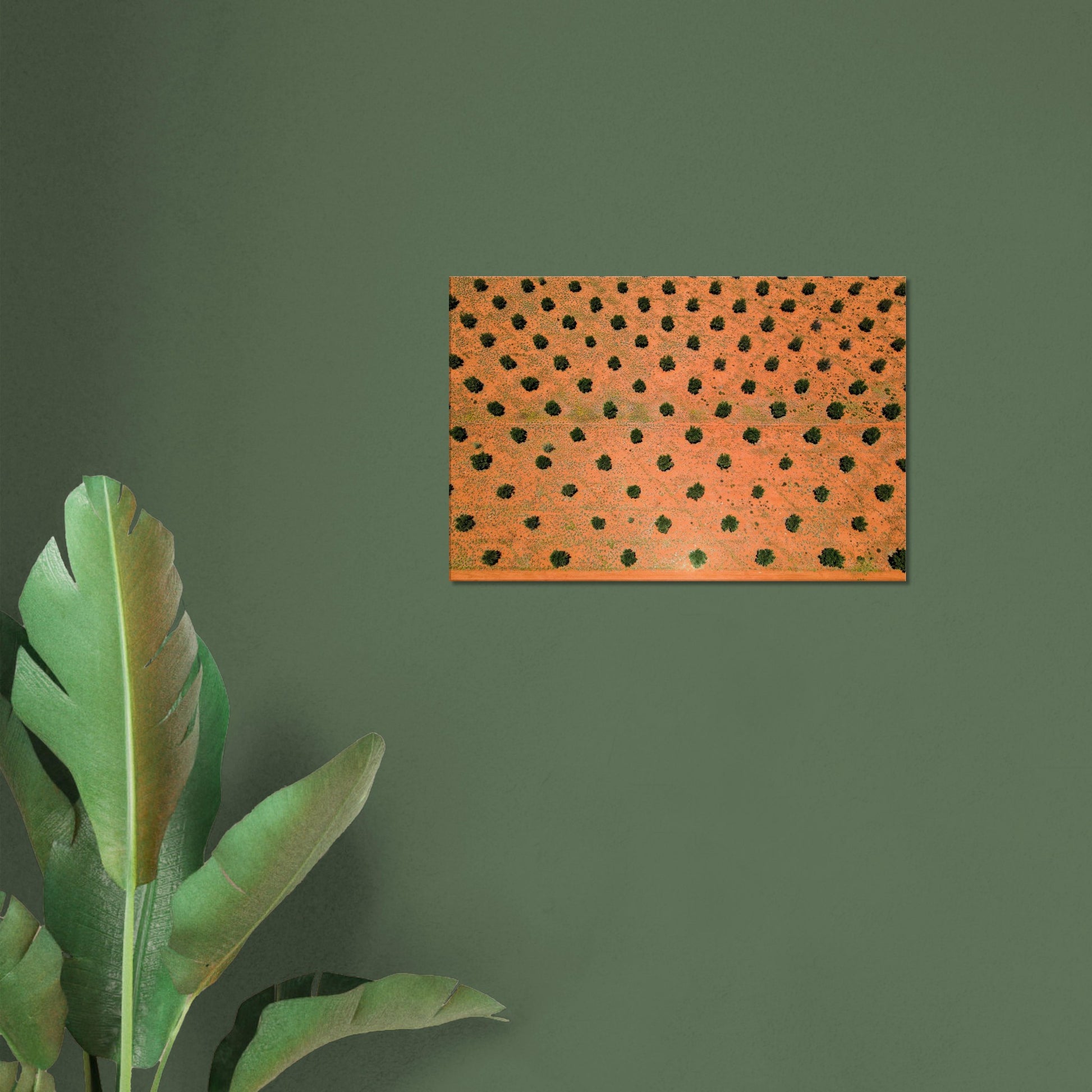 c62c8b0f-89d2-4282-92fd-9a9db87b50d1