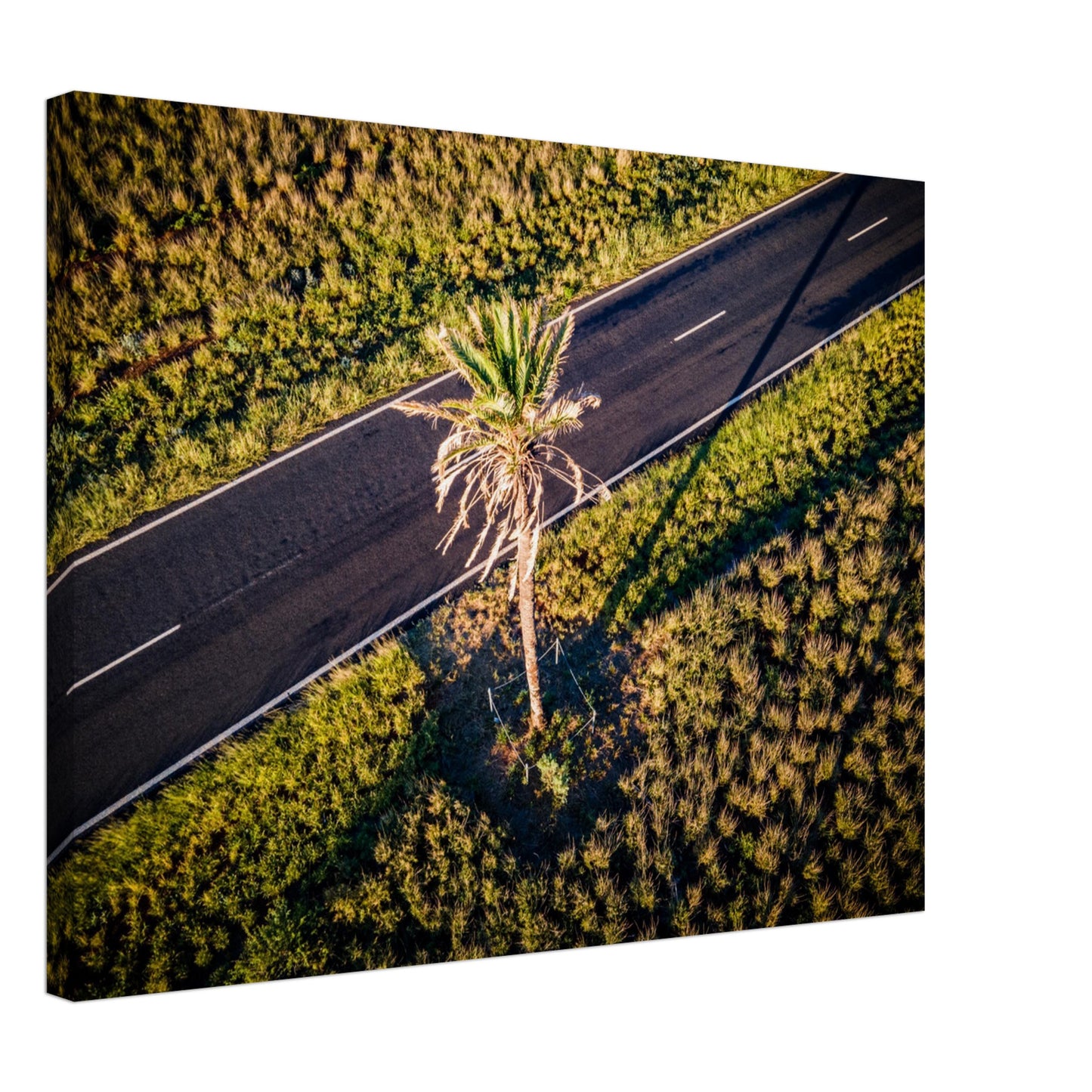 dda4c1c6-f658-41a5-815a-d042c140a809