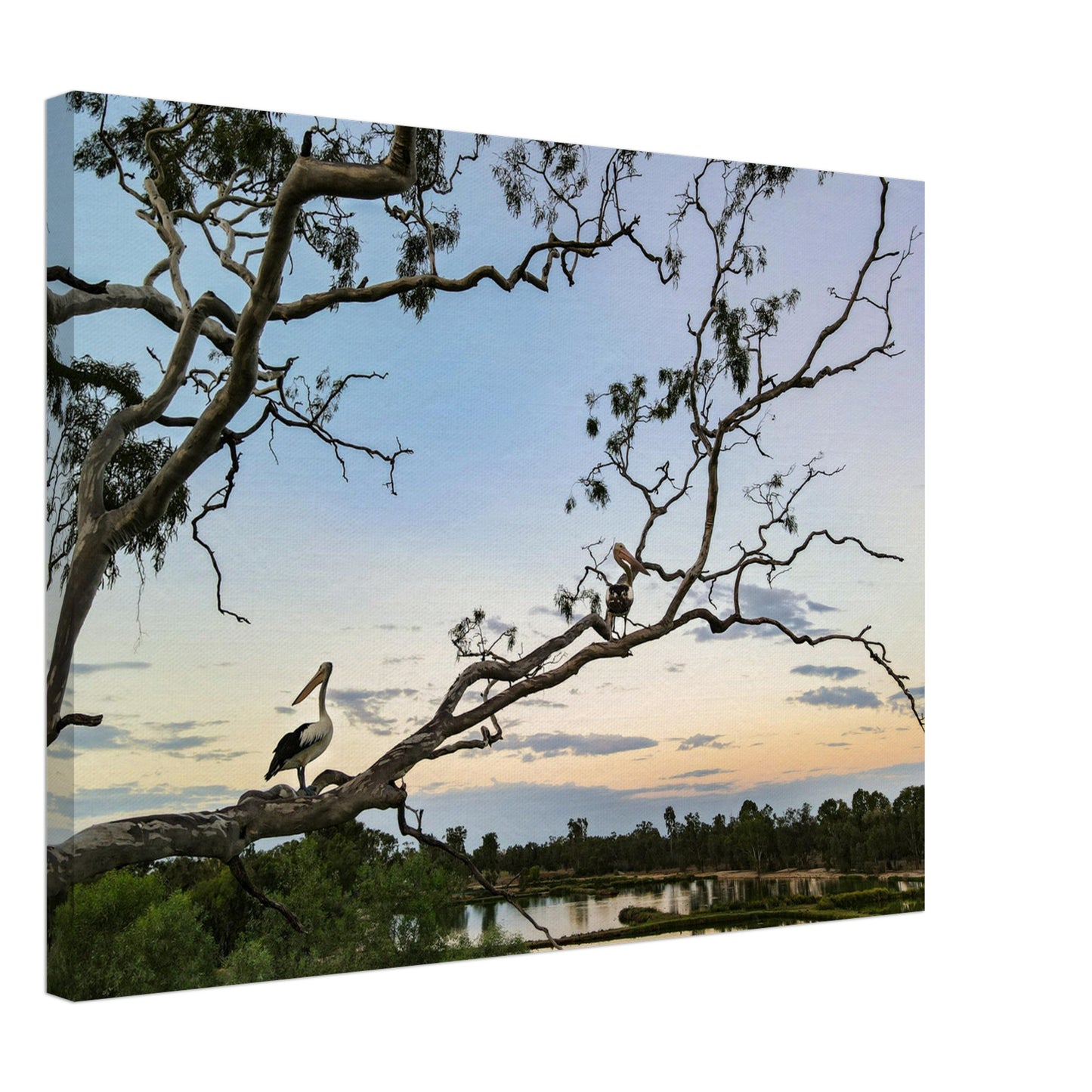 e4d95989-6513-4231-a3f0-38e07e10755b