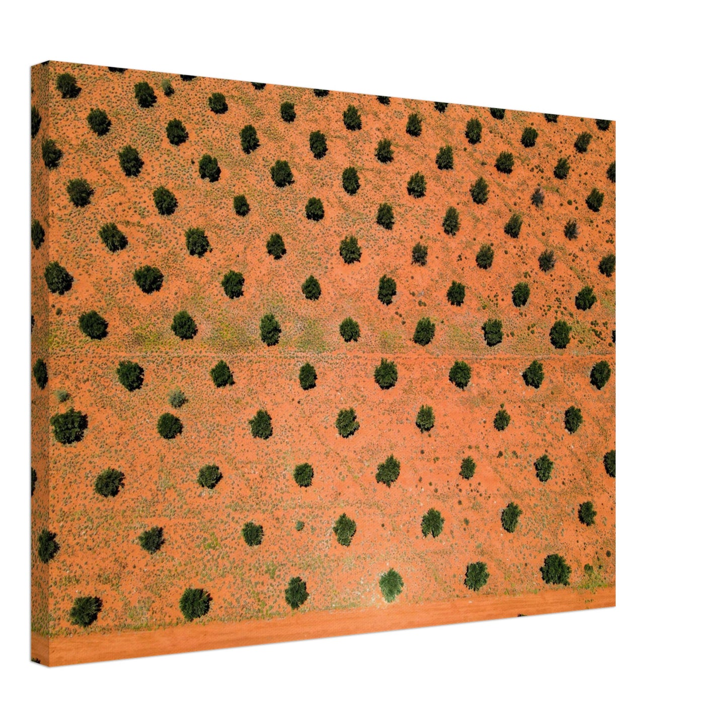 f31ff25f-83bb-479a-89ce-006cfaef3aeb