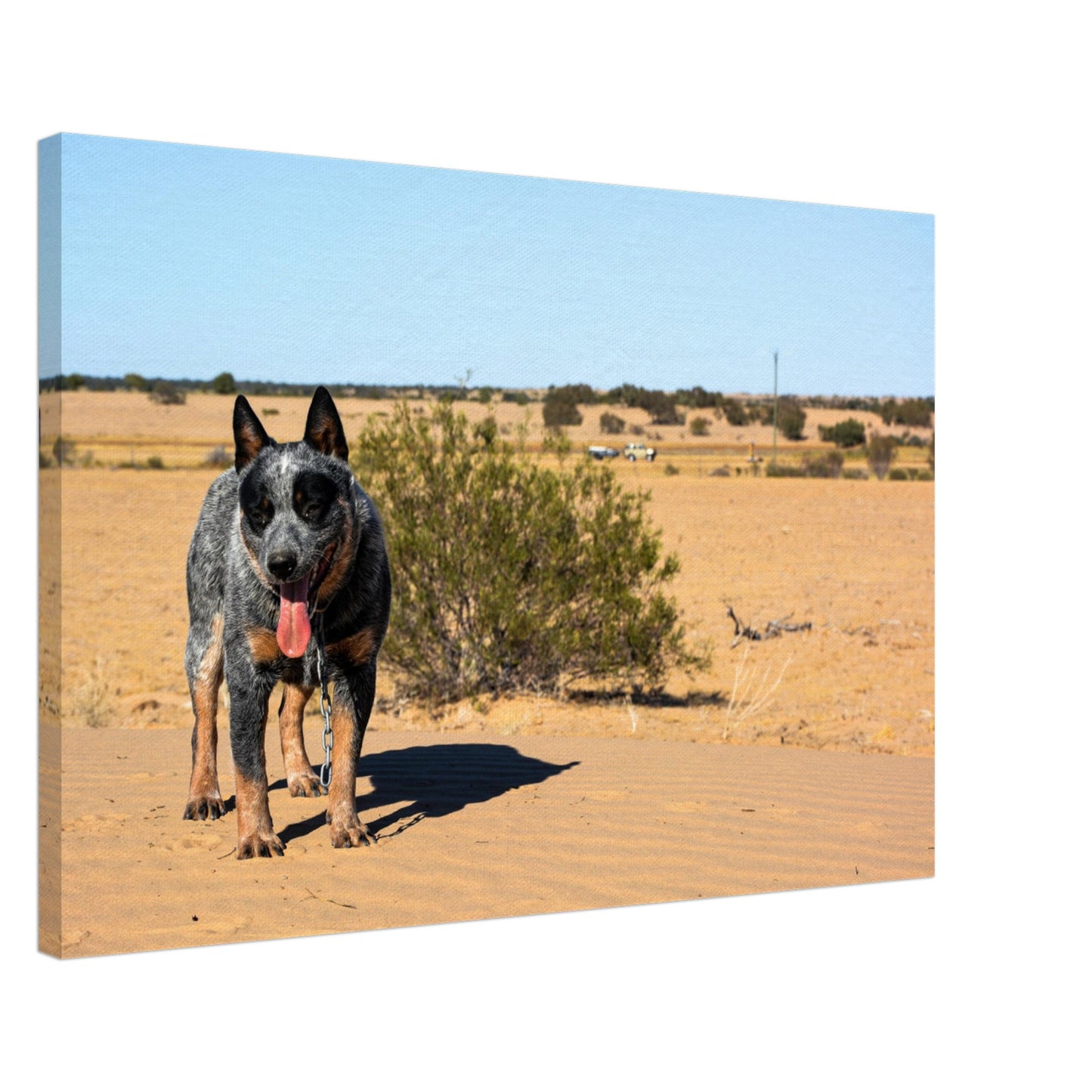 f6e4218b-75b7-4f43-9571-98ba365e9ce2