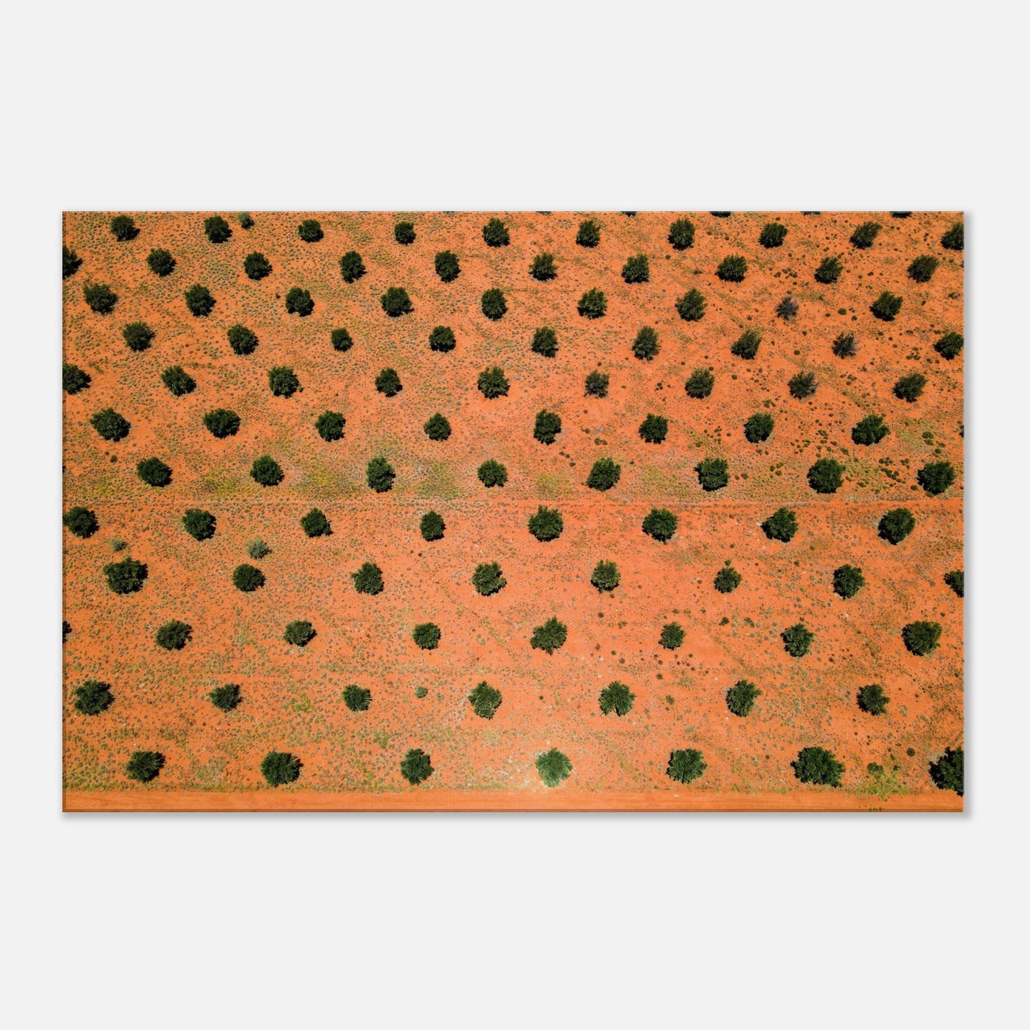 fab4b61d-8b74-4d29-ab05-d5fc8fac40dc